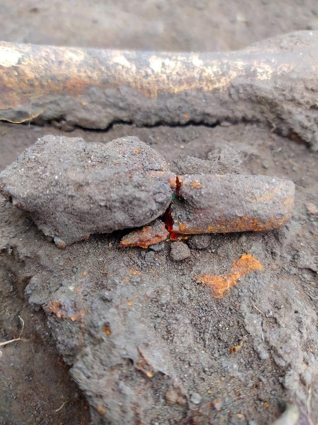 Археологи обнаружили на Старой Рязани останки богатой жительницы XI века