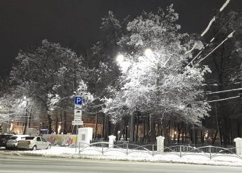Рязанцы засняли в центре города деревья в снегу Рязанцы засняли в центре города деревья в снегу