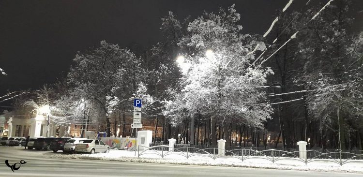 Рязанцы засняли в центре города деревья в снегу