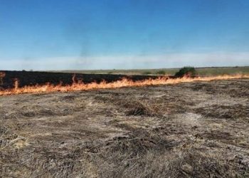 В Рязанской области объявлена высокая пожарная опасность до 1 августа