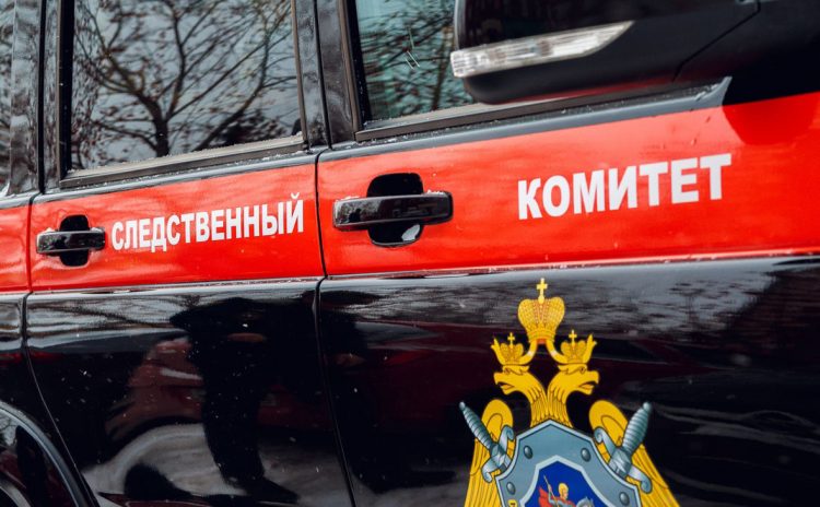 СК организовал проверку по факту смерти двух рязанцев на улице Костычева