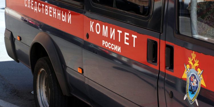 Жительницу рязанского Шилова приговорили к 7 годам колонии за убийство мужчины