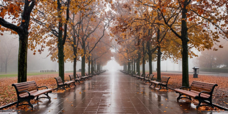 В субботу в Рязанской области потеплеет до +12 градусов В субботу в Рязанской области потеплеет до +12 градусов