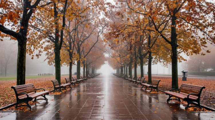 В субботу в Рязанской области потеплеет до +12 градусов