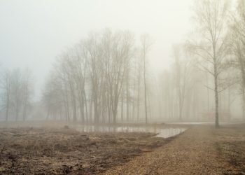 Рязанцев предупредили об утреннем тумане 8 ноября