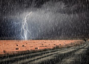 МЧС: 3 июля в Рязанской области ожидаются дожди и гроза