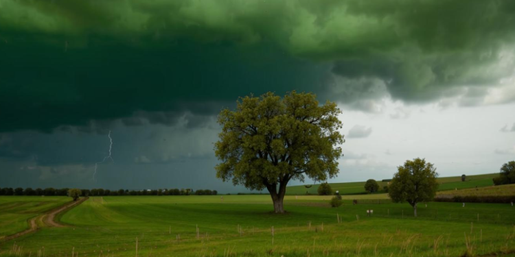 Рязанцев предупредили о граде и дожде 23 августа Рязанцев предупредили о граде и дожде 23 августа