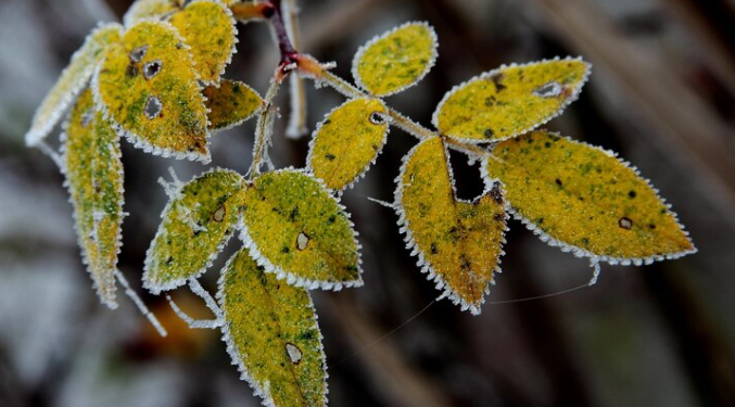 Синоптик Шувалов: к концу выходных в Центральной России ожидается резкое похолодание
