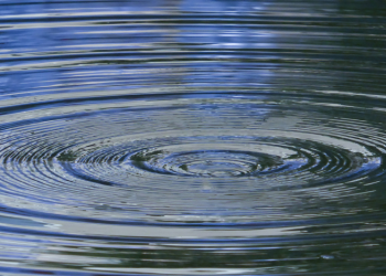 В Шиловском районе утонул 34-летний мужчина