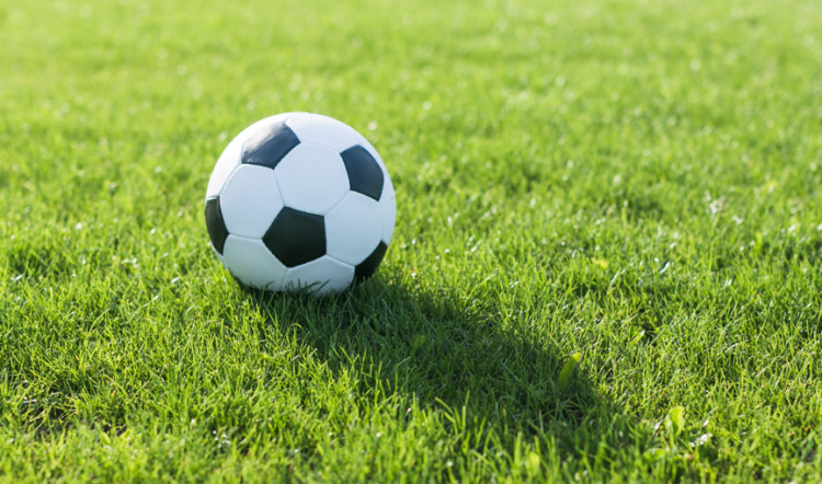 В Рязанском регионе заработала программа "Земский тренер"