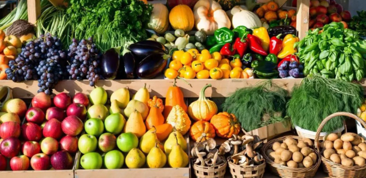 С начала 2025 года 1807 рязанцев оштрафовали за незаконную торговлю