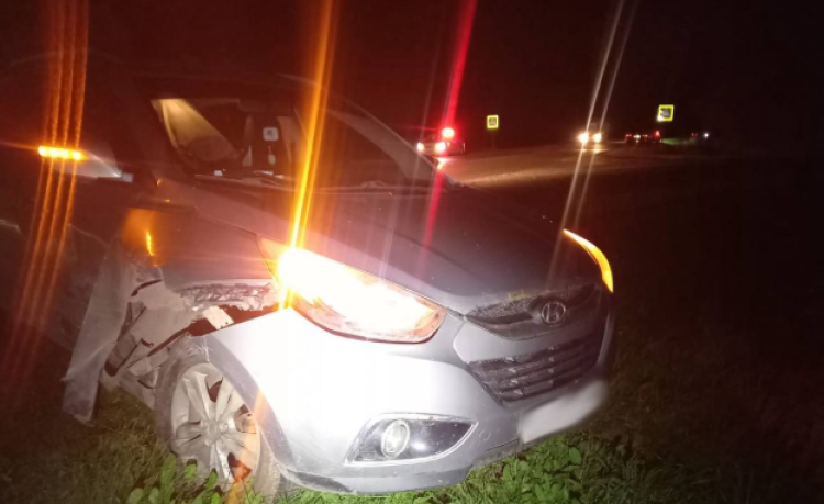 В ДТП в Рыбновском районе пострадал водитель автомобиля "Skoda"