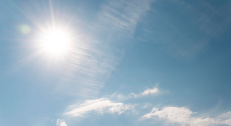 МЧС: в Рязанской области с 15 по 19 сентября сохранится высокая пожарная опасность