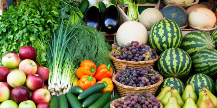 С начала 2025 года за незаконную торговлю оштрафовали 1728 рязанцев