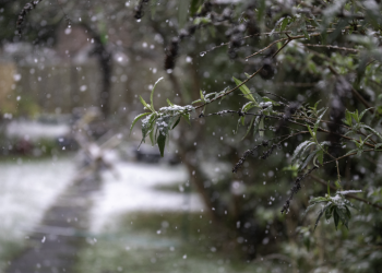 Тишковец дал прогноз погоды в Центральной России в начале следующей недели