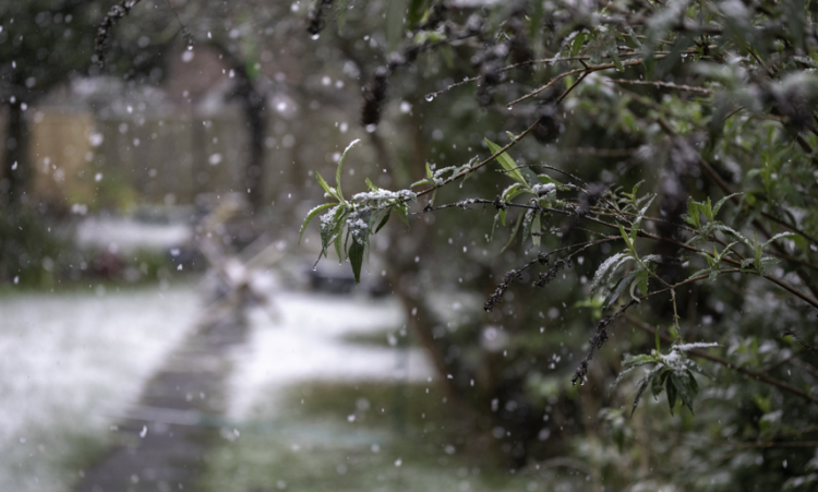 Тишковец дал прогноз погоды в Центральной России в начале следующей недели