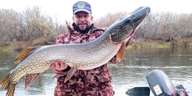 В рязанском Сасове рыбак поймал 8-килограммовую щуку