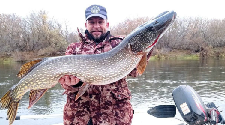 В рязанском Сасове рыбак поймал 8-килограммовую щуку
