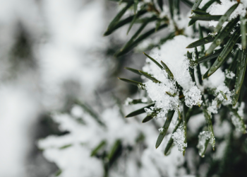 Для рязанцев выпустили метеопредупреждение 11 декабря