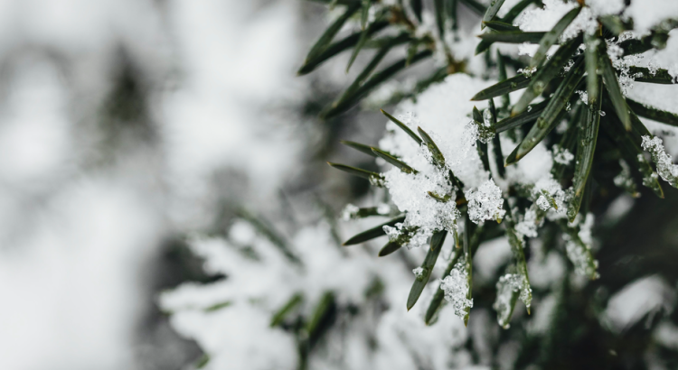 Для рязанцев выпустили метеопредупреждение 11 декабря