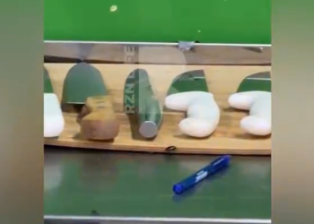 В рязанском магазине «Зодиак» засняли кишащий тараканами мясной отдел