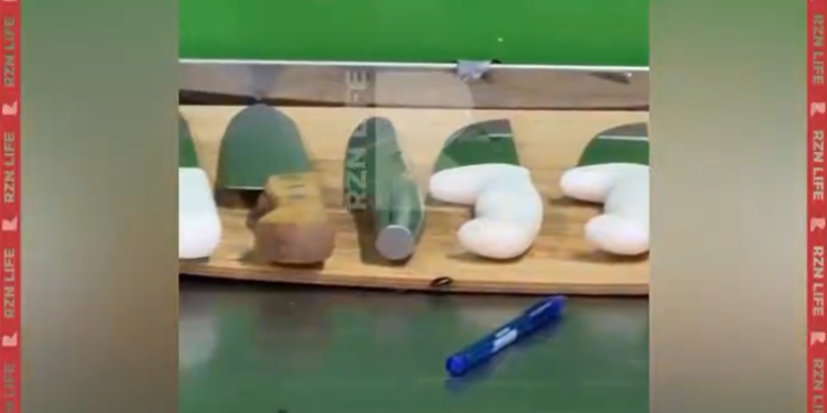 В рязанском магазине «Зодиак» засняли кишащий тараканами мясной отдел