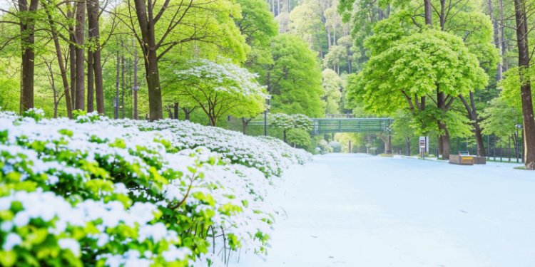 В субботу в Рязанской области ожидается мокрый снег и до +9 градусов