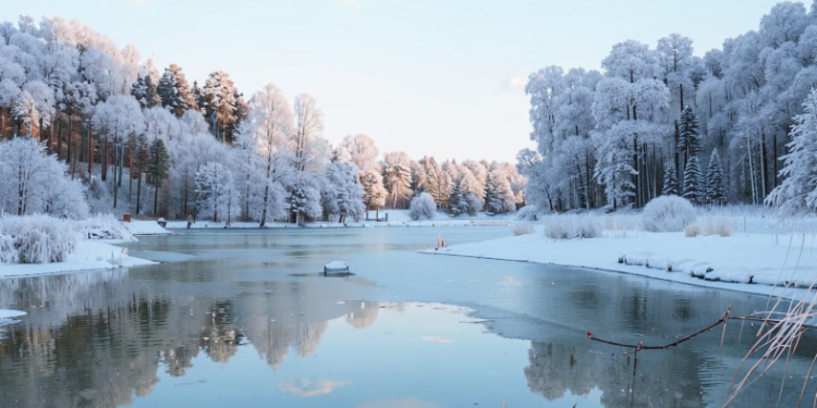 Синоптик Леус: февраль в Центральной России сохранит тенденцию аномального тепла