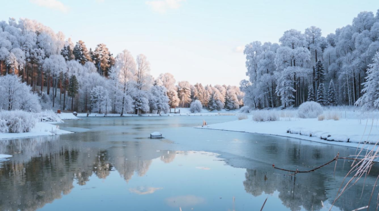 Синоптик Леус: февраль в Центральной России сохранит тенденцию аномального тепла