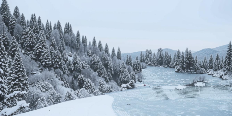 В ночь на пятницу в Рязанской области похолодает до -13 градусов