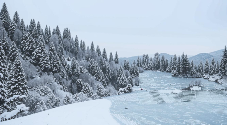 В ночь на пятницу в Рязанской области похолодает до -13 градусов