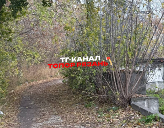 Рязанцы сообщили о полуголом мужчине, который сидел в кустах у железнодорожного колледжа