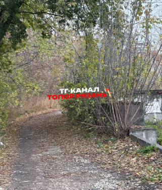 Рязанцы сообщили о полуголом мужчине, который сидел в кустах у железнодорожного колледжа Рязанцы сообщили о полуголом мужчине, который сидел в кустах у железнодорожного колледжа