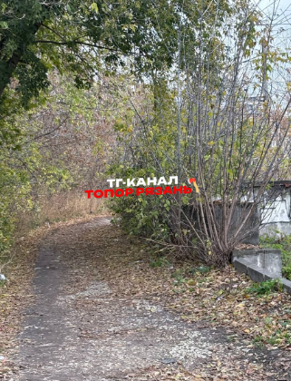 Рязанцы сообщили о полуголом мужчине, который сидел в кустах у железнодорожного колледжа