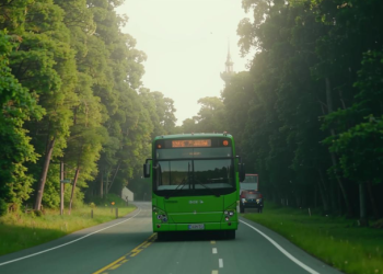 Из Рязани в Домодедово теперь нельзя добраться автобусом