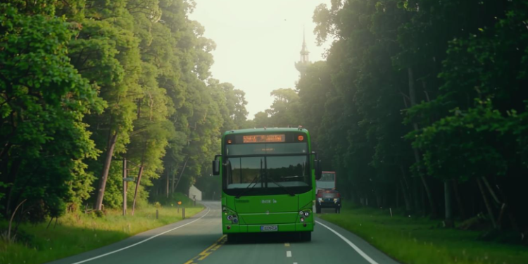 Из Рязани в Домодедово теперь нельзя добраться автобусом
