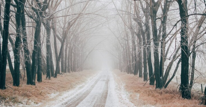 Рязанцев предупредили о сильном тумане с видимостью до 700 метров Рязанцев предупредили о сильном тумане с видимостью до 700 метров