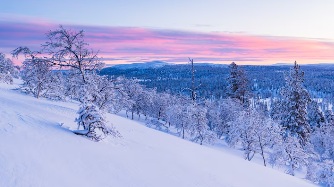 Вильфанд: до конца ноября в Центральной России ожидаются легкие морозы Вильфанд: до конца ноября в Центральной России ожидаются легкие морозы