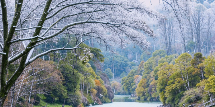 Метеоролог Позднякова спрогнозировала начало зимнего периода на последней неделе ноября