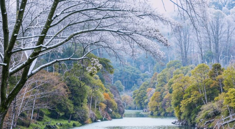 Метеоролог Позднякова спрогнозировала начало зимнего периода на последней неделе ноября