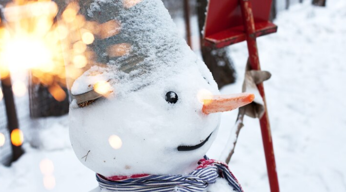 Жители рязанского Касимова поделились снимками первых снеговиков Жители рязанского Касимова поделились снимками первых снеговиков