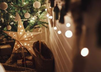 Рязанцам рассказали, как попасть на губернаторскую елку в декабре Рязанцам рассказали, как попасть на губернаторскую елку в декабре