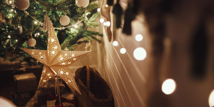 Рязанцам рассказали, как попасть на губернаторскую елку в декабре Рязанцам рассказали, как попасть на губернаторскую елку в декабре