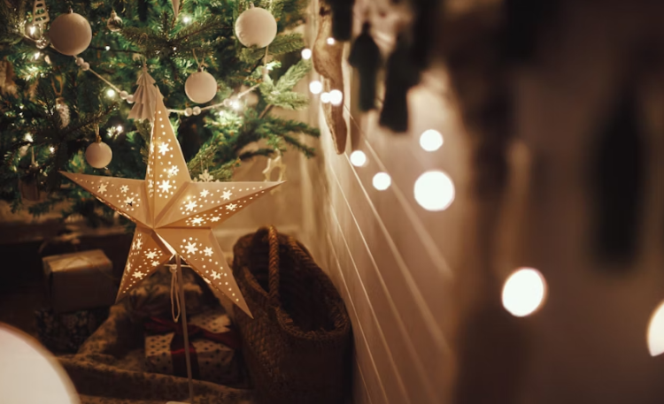 Рязанцам рассказали, как попасть на губернаторскую елку в декабре