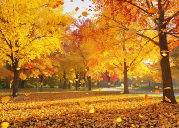 В пятницу в Рязанской области ожидается небольшой дождь и до +11 градусов В пятницу в Рязанской области ожидается небольшой дождь и до +11 градусов