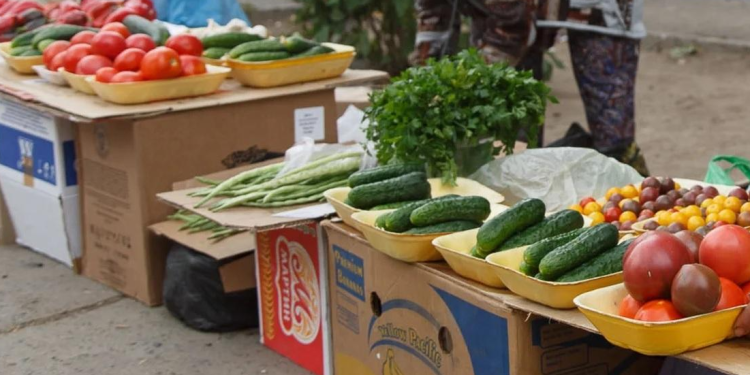 С начала года в Рязани за незаконную торговлю оштрафовали 595 нарушителей