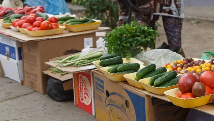 С начала года в Рязани за незаконную торговлю оштрафовали 595 нарушителей