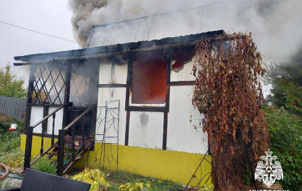 На пожаре в Рыбновском районе сгорела хозпостройка На пожаре в Рыбновском районе сгорела хозпостройка