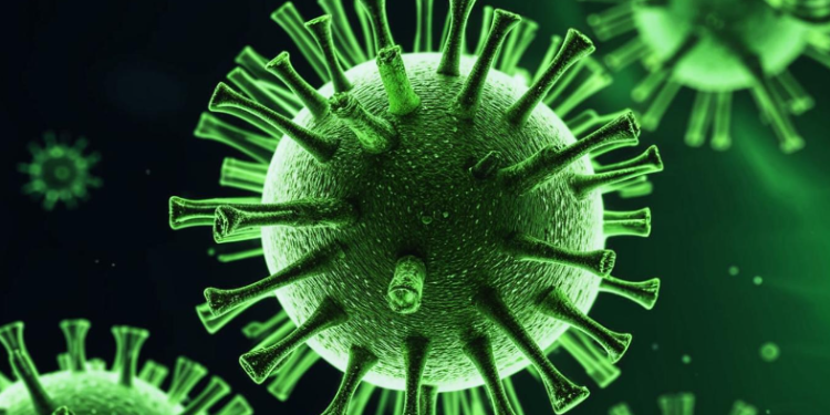 В Рязанском регионе возросла заболеваемость COVID-19 В Рязанском регионе возросла заболеваемость COVID-19