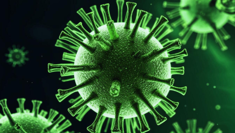 В Рязанском регионе возросла заболеваемость COVID-19